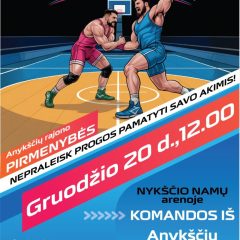 Anykščiuose vyks „Wrestball“ turnyras